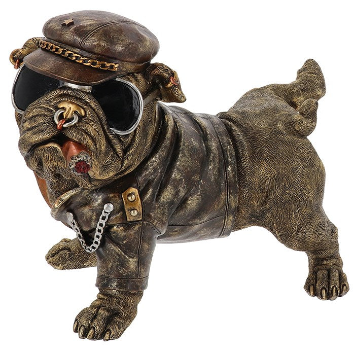 DUDES: Cocky Bulldog