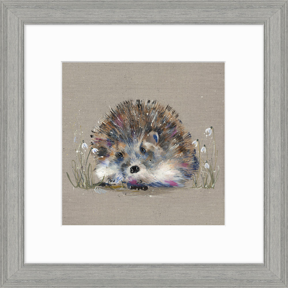 Hedgehog & Snowdrops - Framed Print 35 x 35 cm