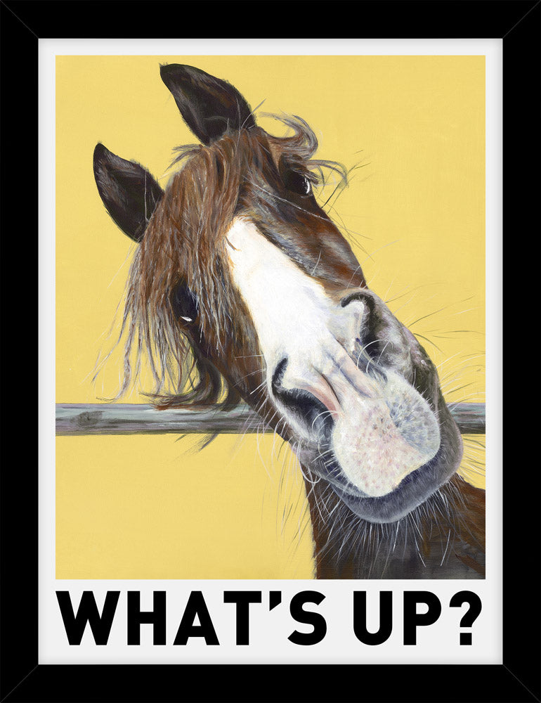 What's Up? - Framed Print 33.5 x 43.5 cm