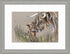 Heather & Buttercup - Framed Print 34 x 44 cm