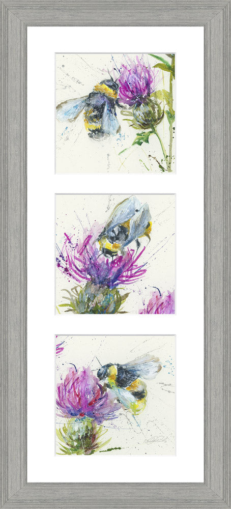 Thistle Symphony - Framed Print 25 x 55 cm