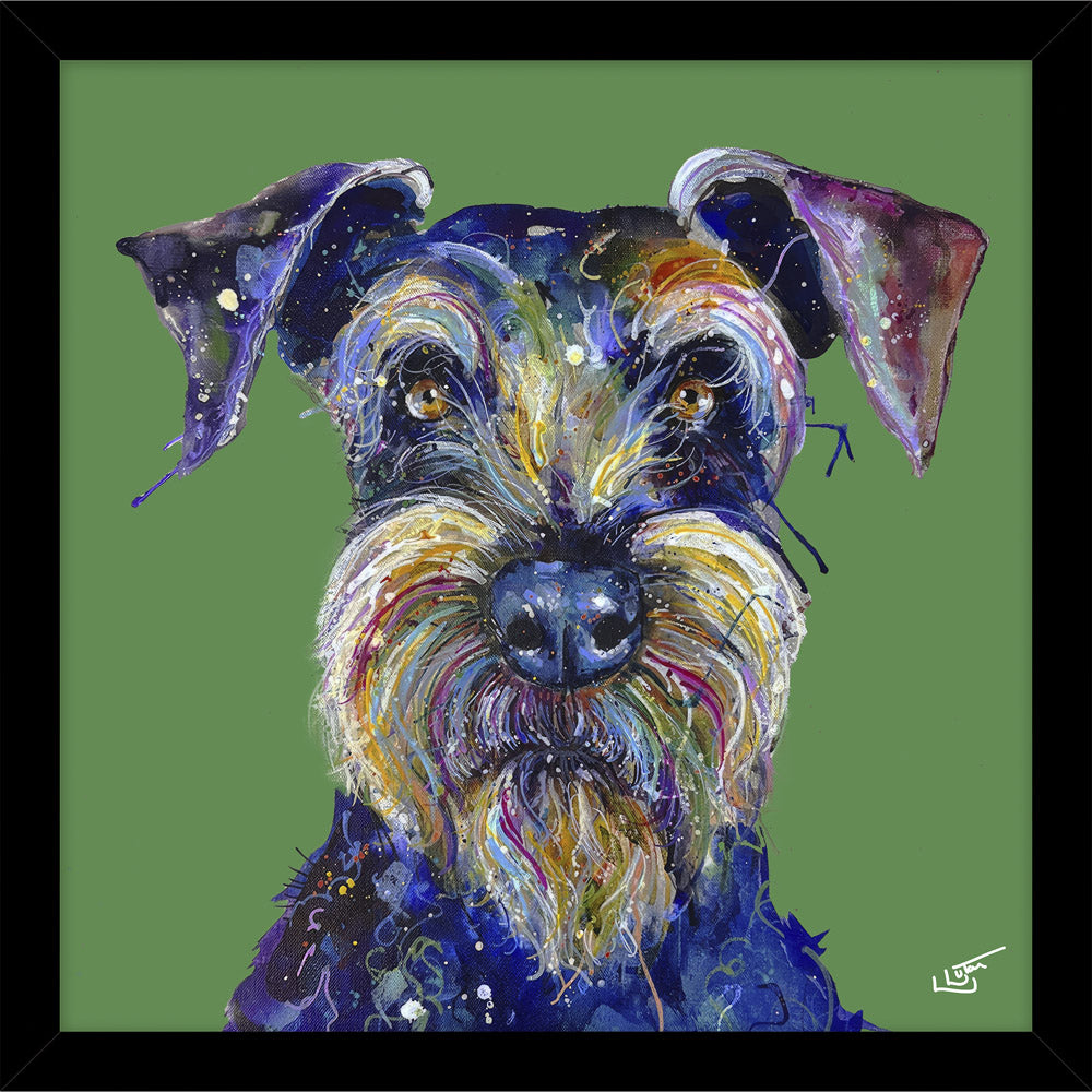 Professor Schnauzer - Framed Print 43.5 x 43.5 cm