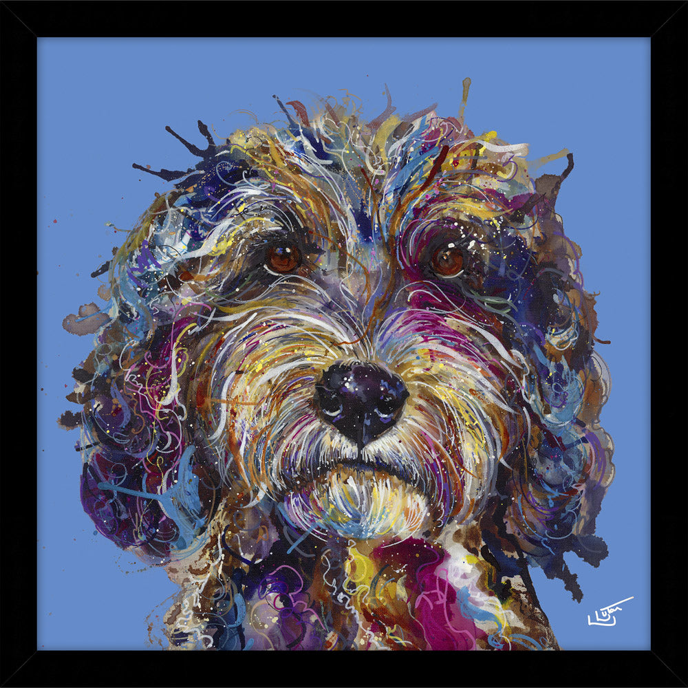 Cockapoo - Framed Print 43.5 x 43.5 cm