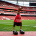 Arsenal Football Duck Figurine