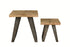 Kodi Mango Nest of Tables