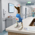 Nurse Duck Figurine 25cm