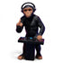 Rude Monkey DJ